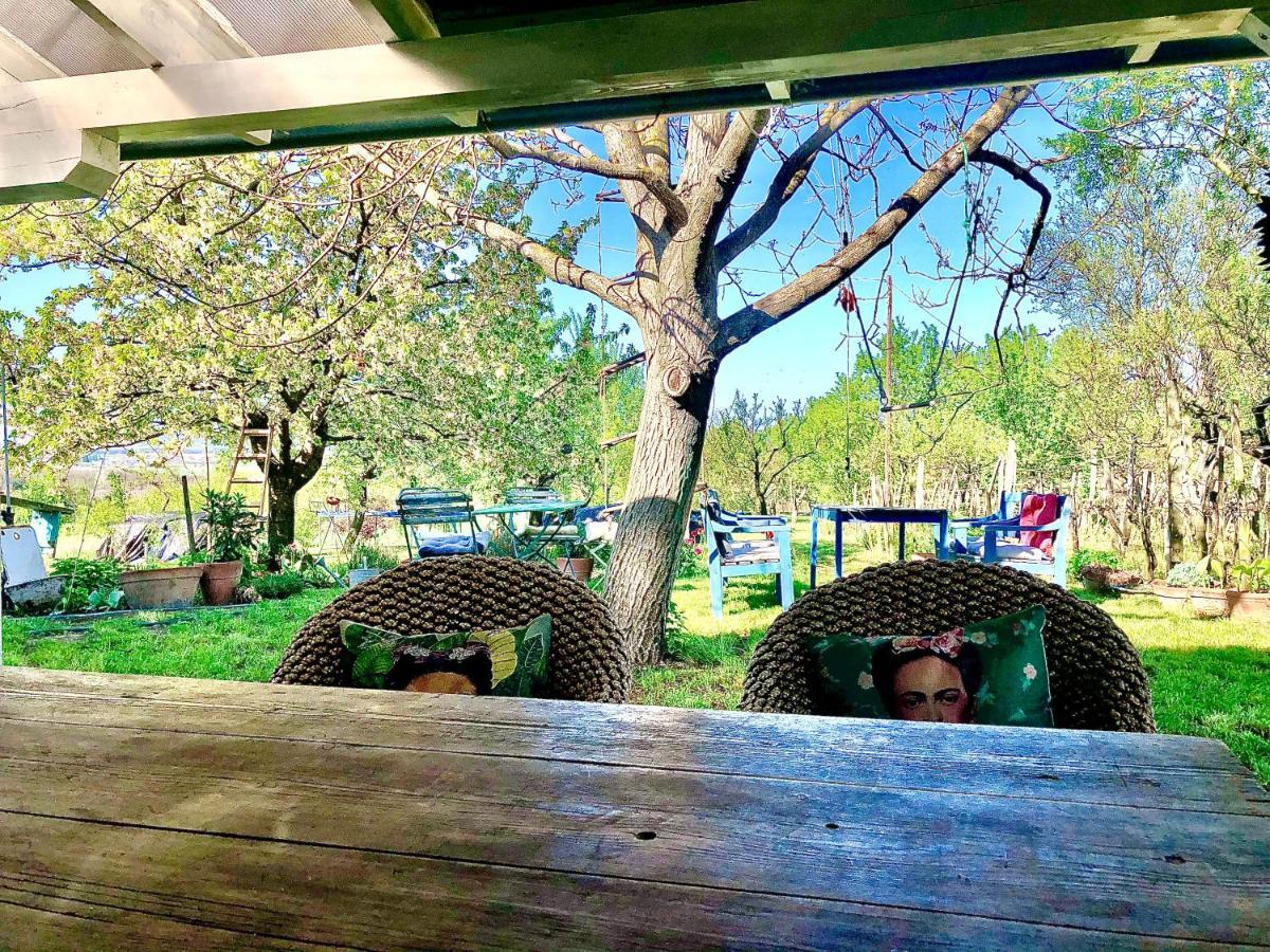 Bohemian Eco Lodge At Lake Balaton Kisapati Eksteriør bilde